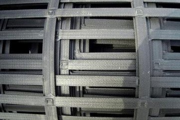 鋼塑格柵圖片/鋼塑格柵樣板圖 (2)