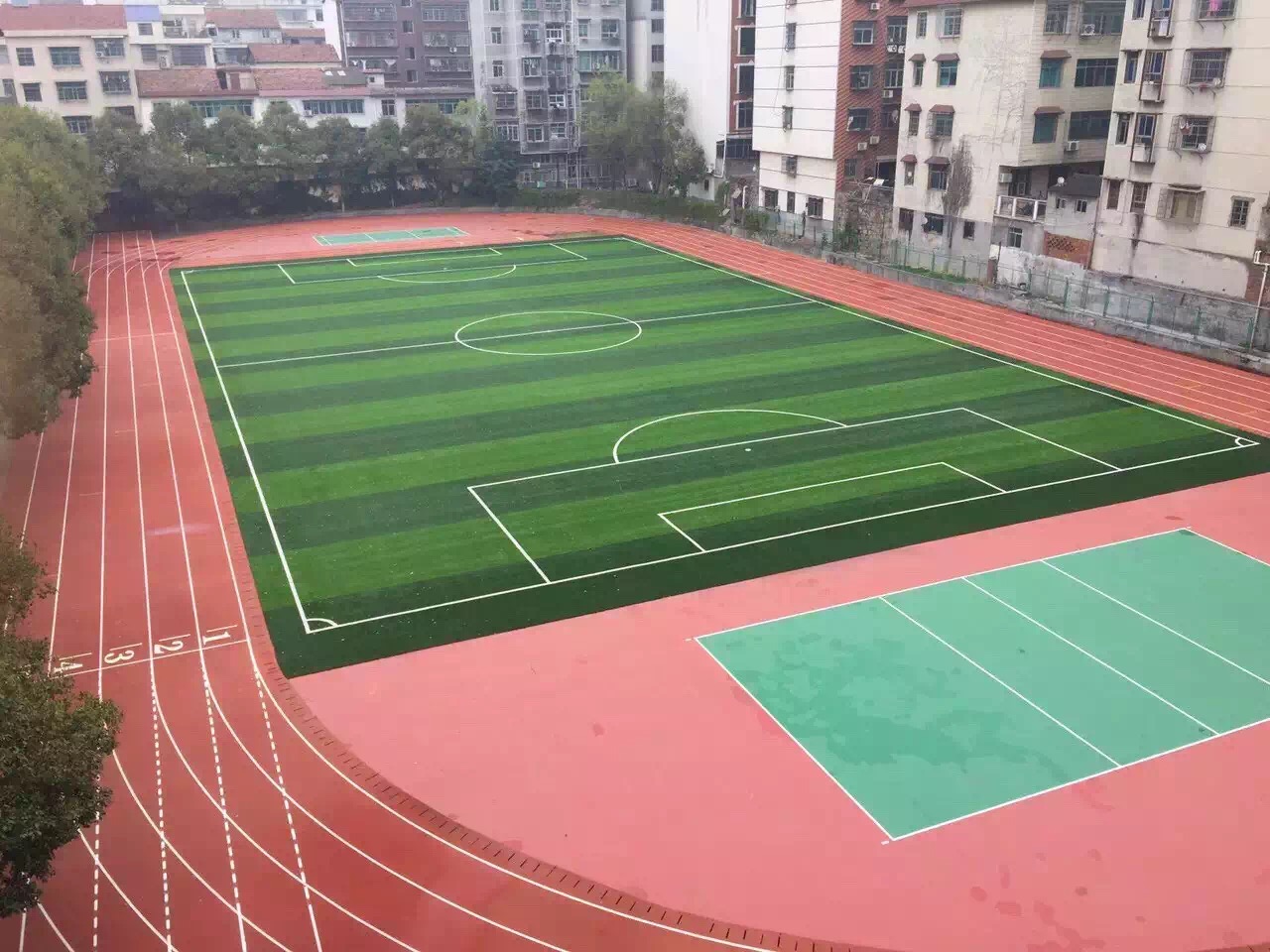 塑膠跑道材料圖片/塑膠跑道材料樣板圖 (3)