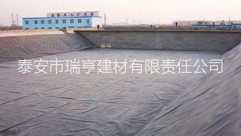 魚塘防滲膜圖片/魚塘防滲膜樣板圖 (2)