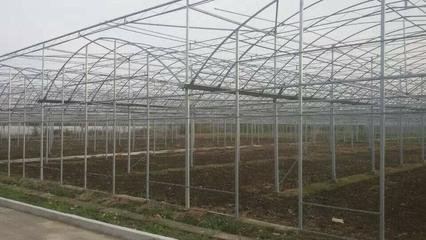 重慶溫室大棚圖片/重慶溫室大棚樣板圖 (2)