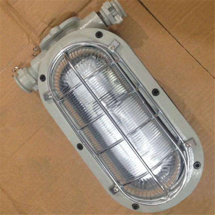 DGC35/127N隔爆型支架燈圖片/DGC35/127N隔爆型支架燈樣板圖 (3)