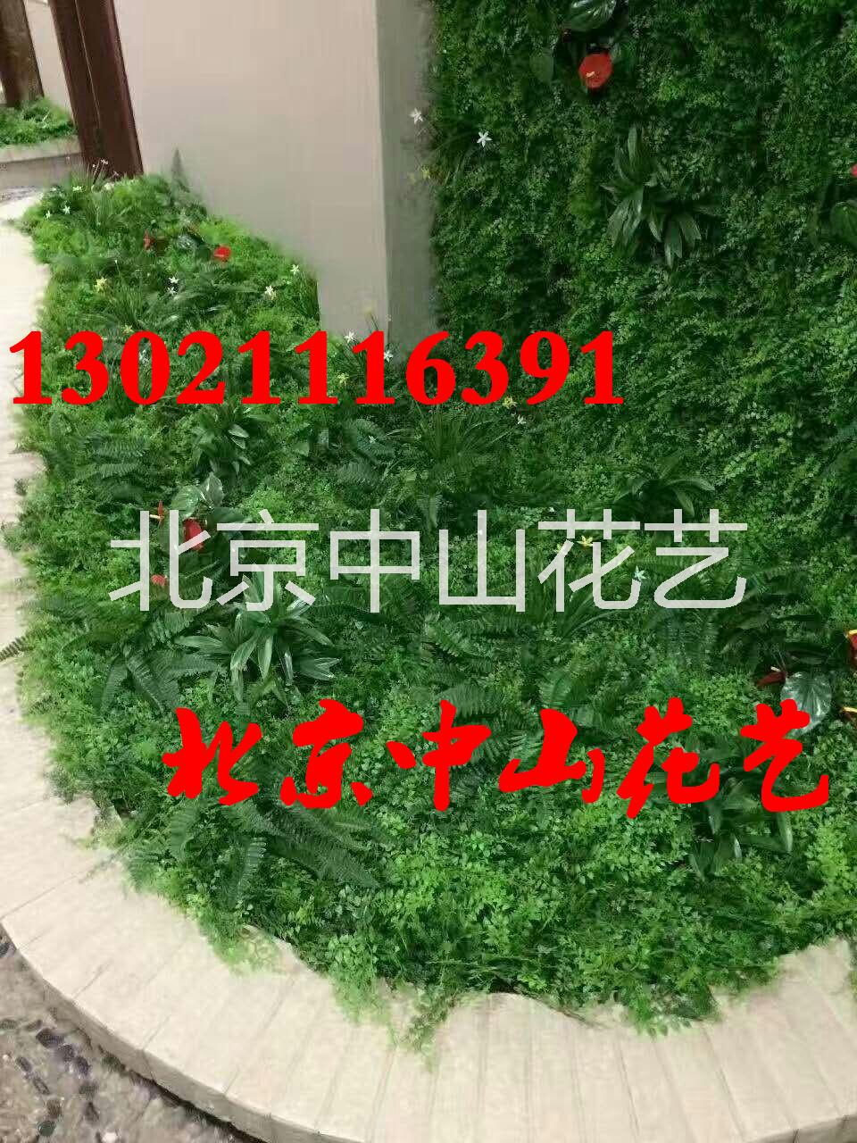 仿真植物圖片/仿真植物樣板圖 (4)