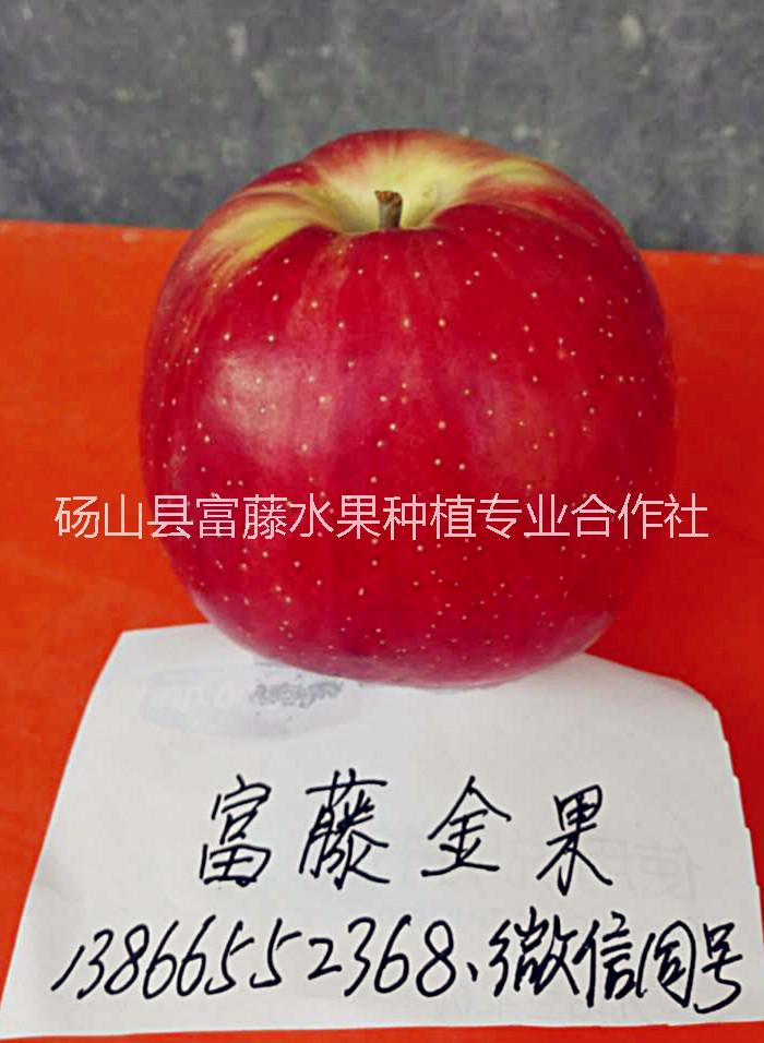 早熟圖片/早熟樣板圖 (2)