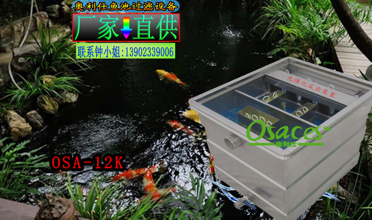 錦鯉魚(yú)池圖片/錦鯉魚(yú)池樣板圖 (2)