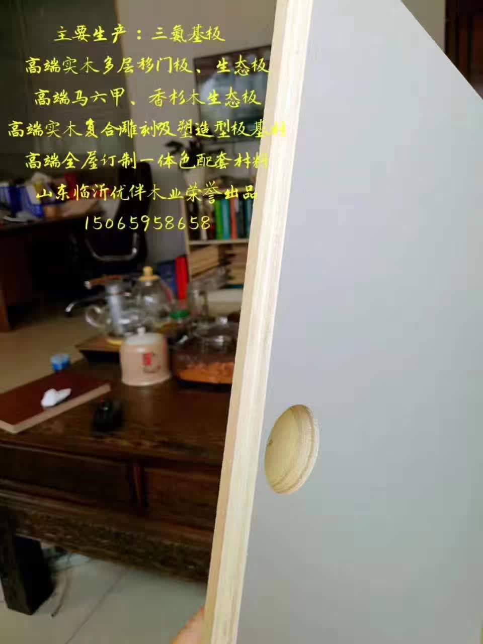 模壓門板廠圖片/模壓門板廠樣板圖 (4)