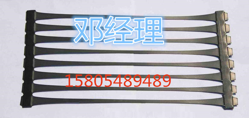 土工格柵圖片/土工格柵樣板圖 (2)
