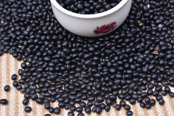 烘焙黑豆 熟黑豆 現(xiàn)磨五谷豆?jié){黑豆 現(xiàn)磨五谷養(yǎng)生粉黑豆批發(fā)、6元