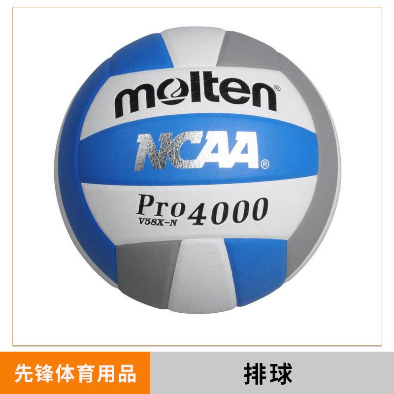 排球圖片/排球樣板圖 (4)