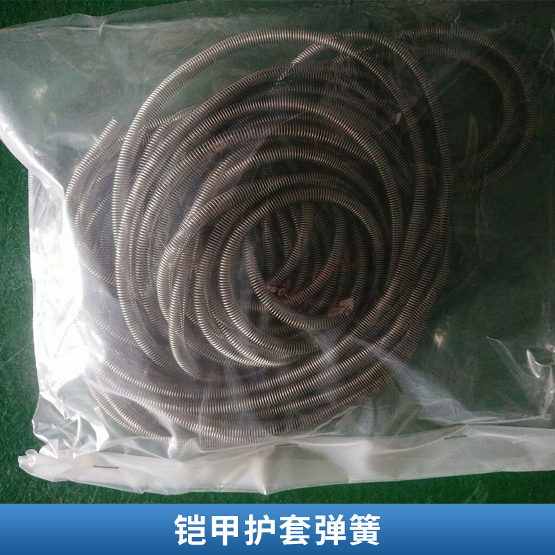 鎧甲護套彈簧圖片/鎧甲護套彈簧樣板圖 (2)