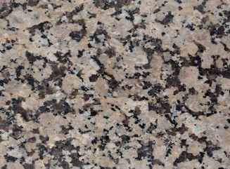 金鉆黃麻圖片/金鉆黃麻樣板圖 (3)