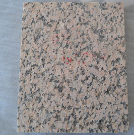 金鉆瑪火燒面圖片