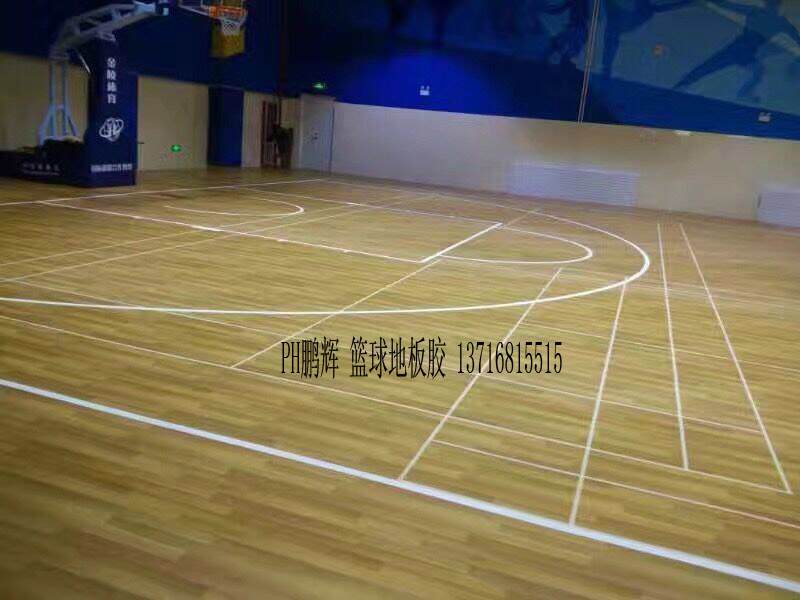 籃球館運動地板圖片/籃球館運動地板樣板圖 (3)