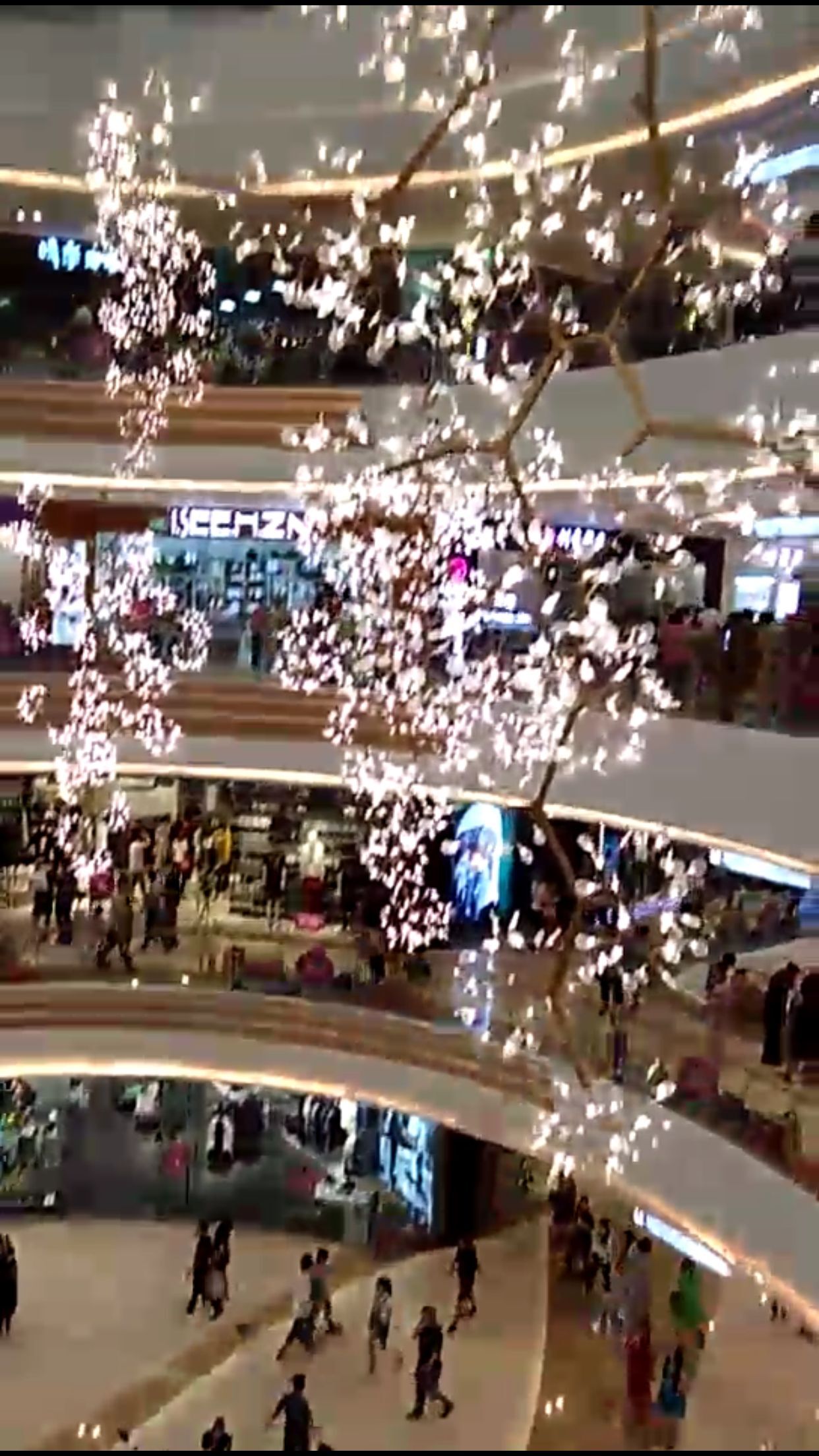 氣氛裝飾圖片/氣氛裝飾樣板圖 (1)