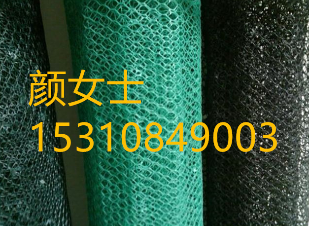云南廠家直銷三維植被網(wǎng)圖片/云南廠家直銷三維植被網(wǎng)樣板圖 (2)