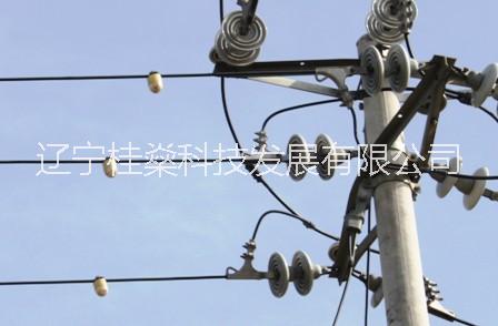 自復式過壓保護器圖片