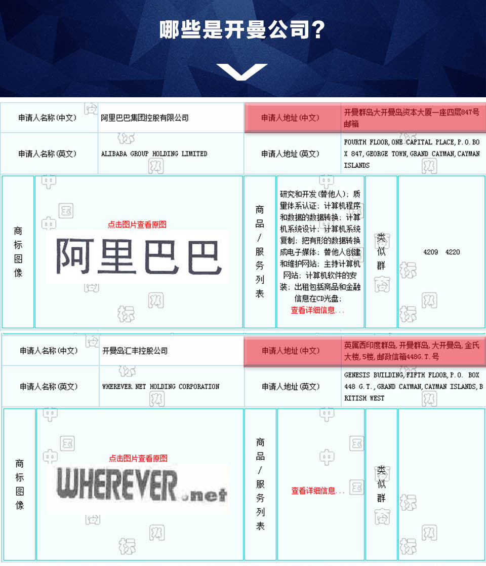 【开曼公司注册】海外公司申请注册|威尔卓世