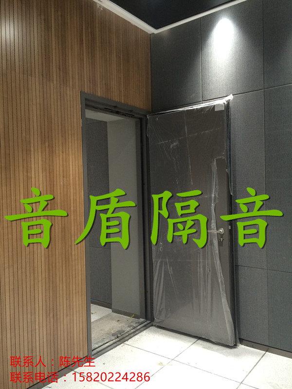 隔聲門圖片/隔聲門樣板圖 (1)