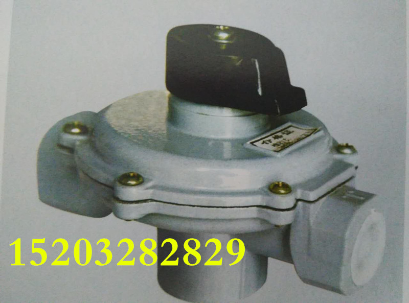 燃氣調(diào)壓器圖片/燃氣調(diào)壓器樣板圖 (2)