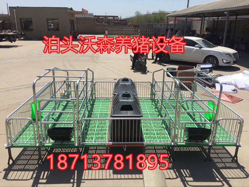 母豬產(chǎn)床圖片/母豬產(chǎn)床樣板圖 (4)