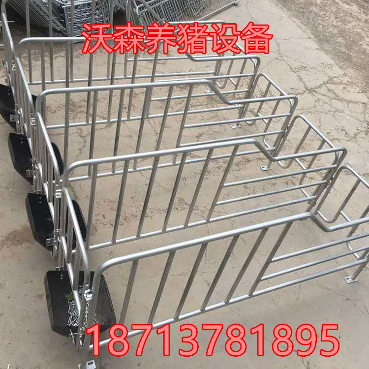 母豬定位欄圖片/母豬定位欄樣板圖 (3)