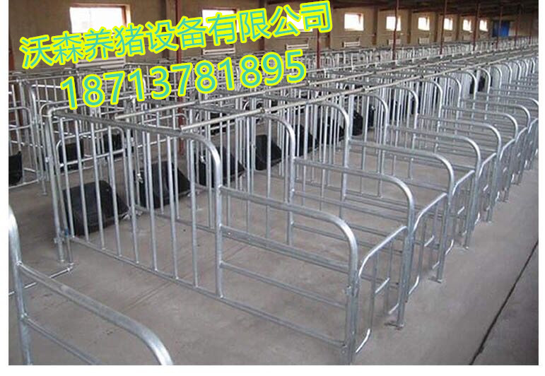 母豬定位欄圖片/母豬定位欄樣板圖 (4)