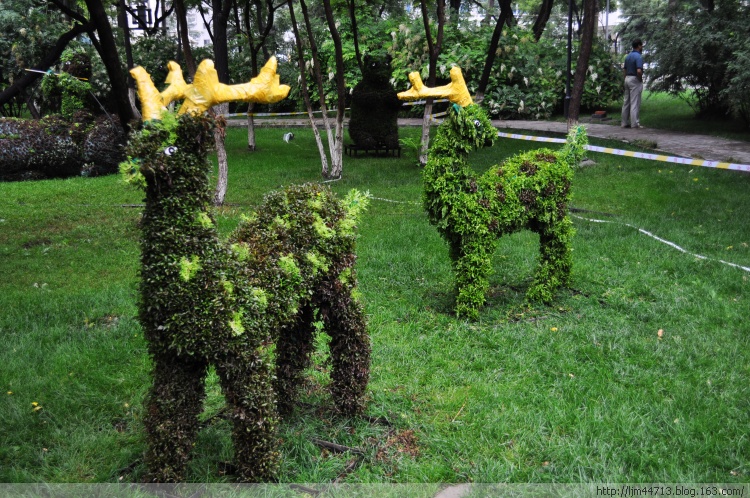 生態(tài)植物墻圖片/生態(tài)植物墻樣板圖 (1)