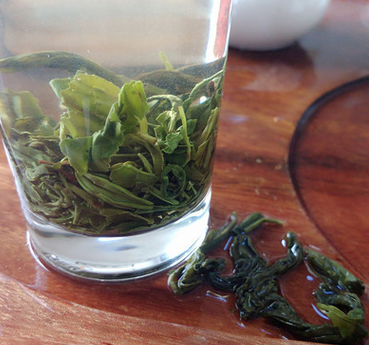 高山綠茶圖片/高山綠茶樣板圖 (3)