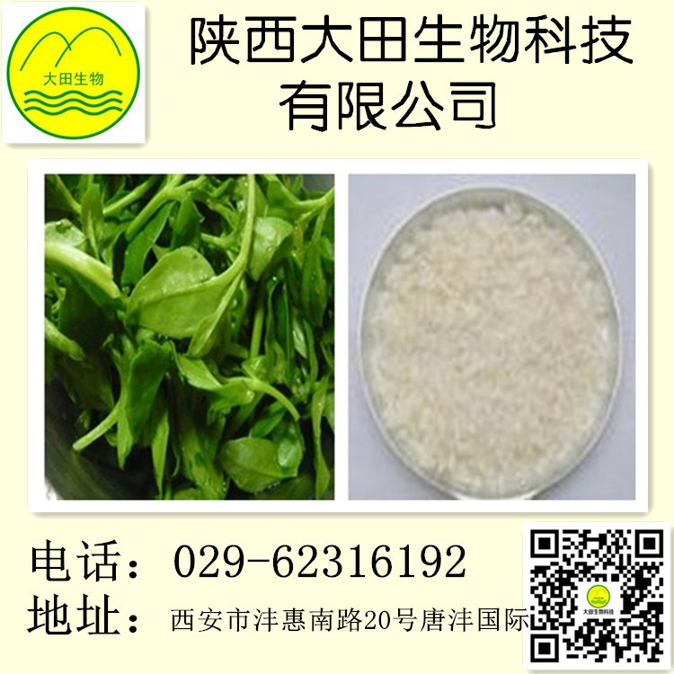 供應(yīng)穿心蓮提取物98% 具有清熱，消腫止痛，抑制其生長(zhǎng)等功效