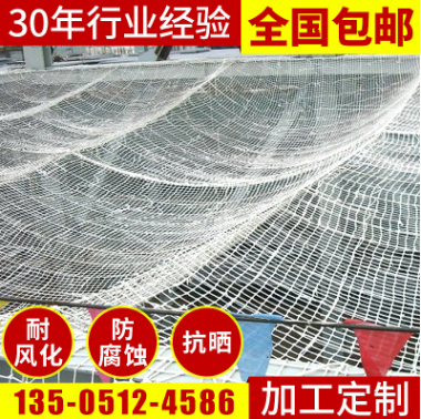廠家批發(fā) 建筑防墜安全網(wǎng) 阻燃安全網(wǎng) 船用尼龍安全網(wǎng) 舷梯安全網(wǎng)
