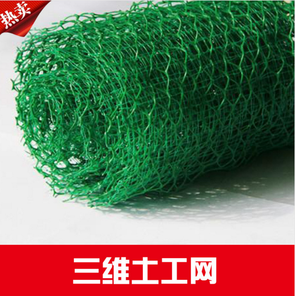 三維土工網(wǎng) 三維土工網(wǎng)廠家直銷 三維土工網(wǎng)廠家報(bào)價(jià)