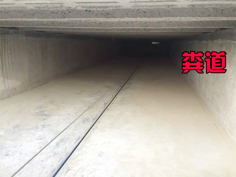 廠家直銷畜牧養(yǎng)殖 全自動(dòng)清糞機(jī)  豬舍清潔設(shè)備