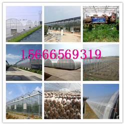 溫室大棚建設圖片/溫室大棚建設樣板圖 (3)