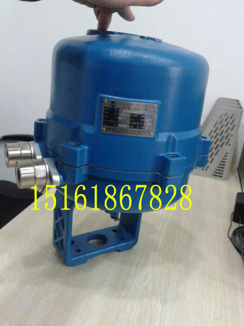 3810R角行程電動(dòng)執(zhí)行器中南3810RSB-10 3810RSB-20 3810RSB-30 3810RSC-50