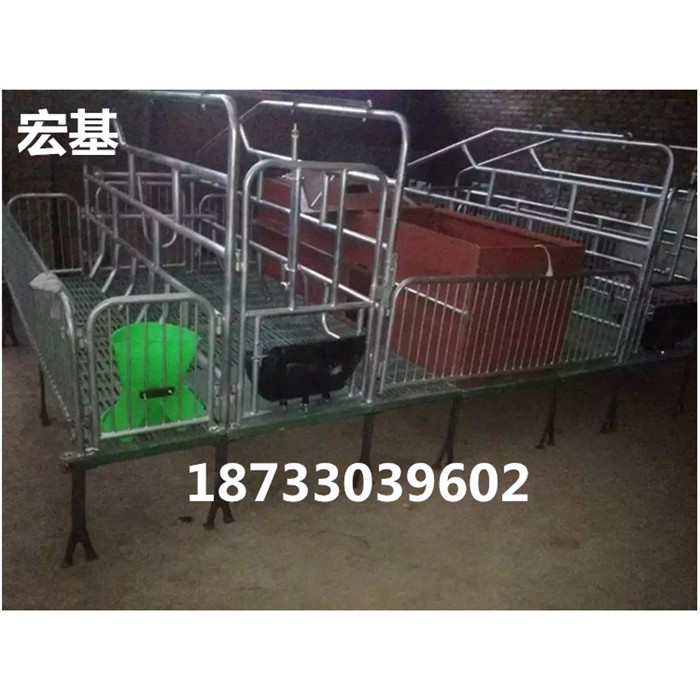 復(fù)合母豬產(chǎn)床圖片/復(fù)合母豬產(chǎn)床樣板圖 (2)