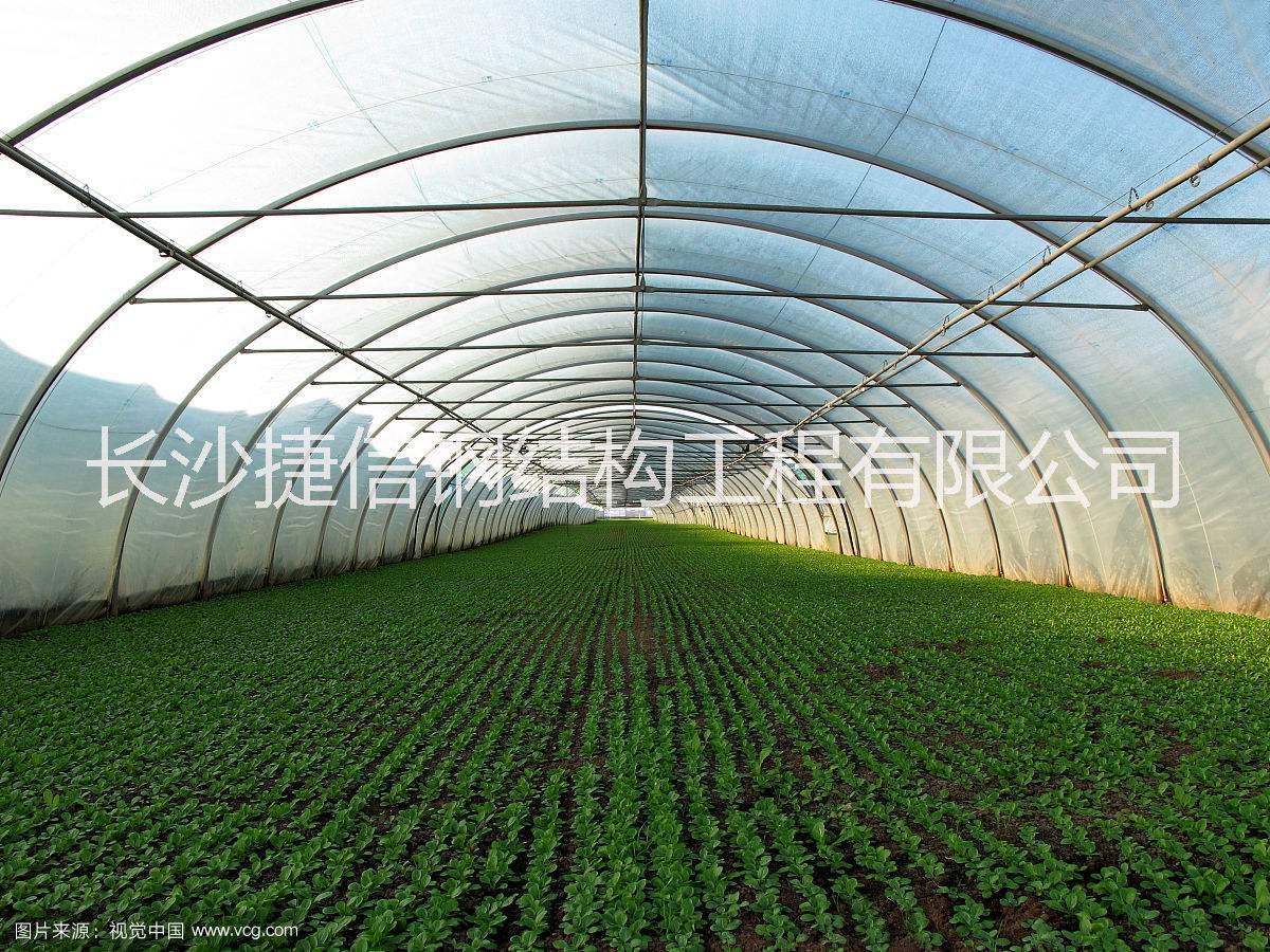 岳陽溫室大棚造價圖片/岳陽溫室大棚造價樣板圖 (1)