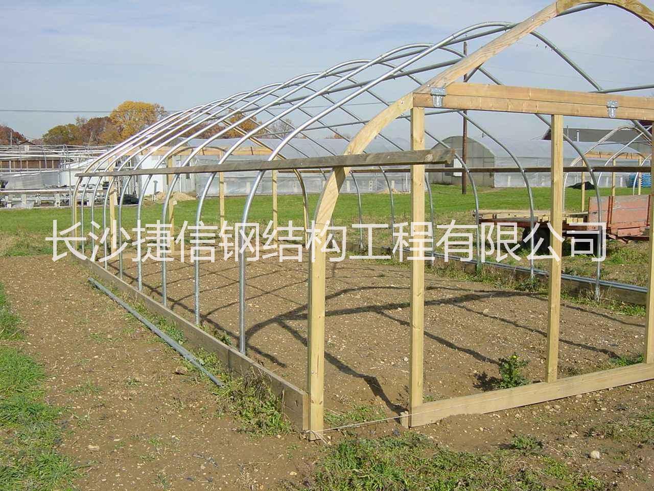 長沙溫室大棚圖片/長沙溫室大棚樣板圖 (2)