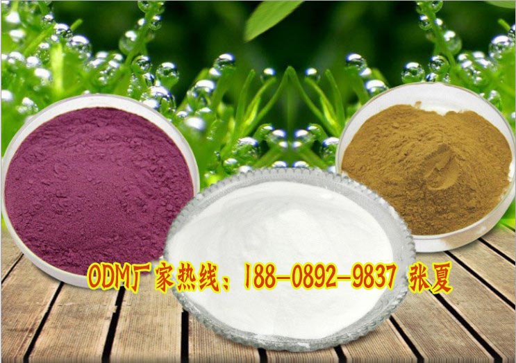 低聚肽粉代加工/固體飲料加工貼牌廠家