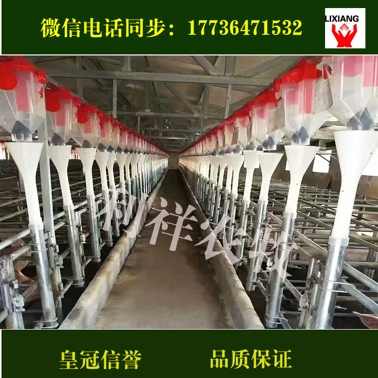 養(yǎng)豬圖片/養(yǎng)豬樣板圖 (4)