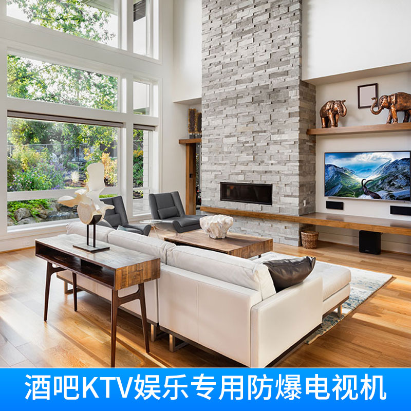酒吧KTV娛樂專用防爆電視機圖片/酒吧KTV娛樂專用防爆電視機樣板圖 (4)