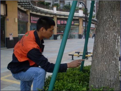 害蟲防治圖片/害蟲防治樣板圖 (4)