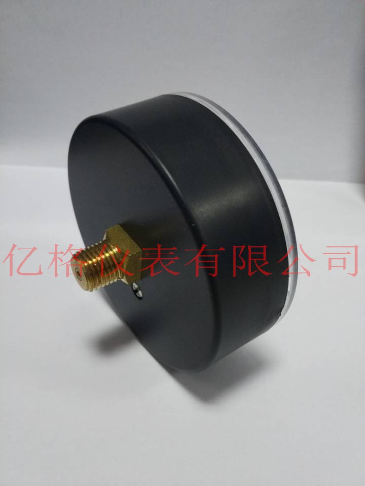 特制80*1/2NPT接頭真空壓圖片/特制80*1/2NPT接頭真空壓樣板圖 (4)