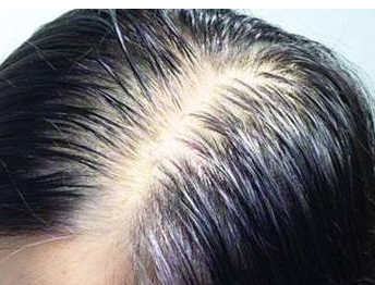 重慶圖片/重慶樣板圖 (1)