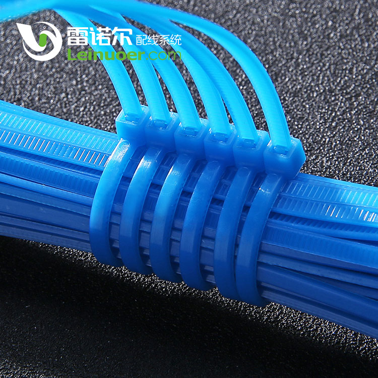 自鎖尼龍扎帶圖片/自鎖尼龍扎帶樣板圖 (3)