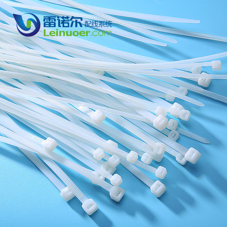 自鎖尼龍扎帶圖片/自鎖尼龍扎帶樣板圖 (2)