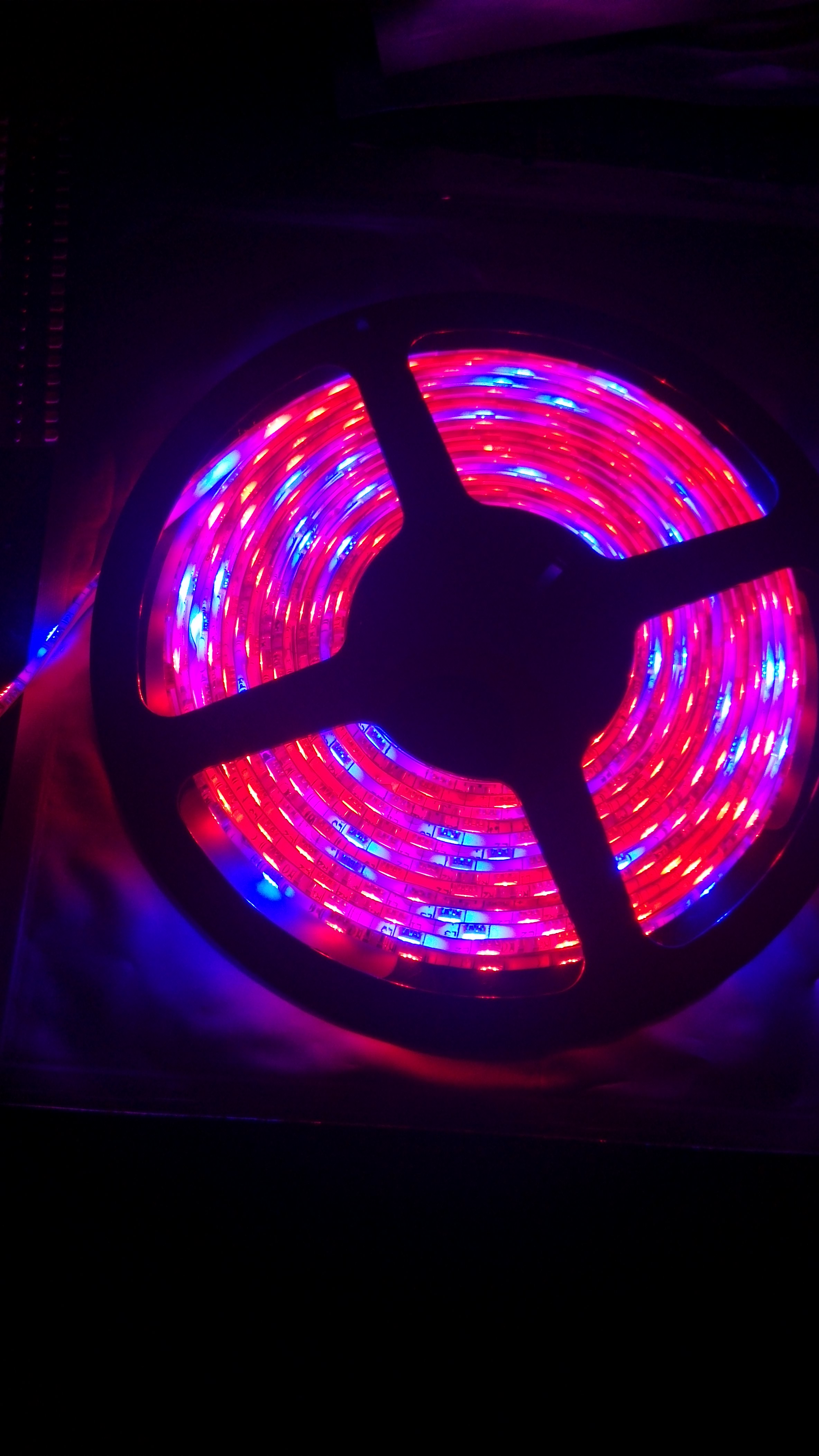 LED燈帶圖片/LED燈帶樣板圖 (4)