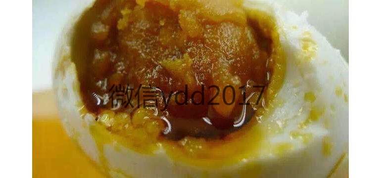 海鴨蛋圖片/海鴨蛋樣板圖 (4)