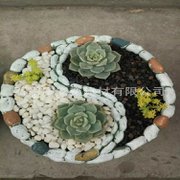 天然鵝卵石圖片/天然鵝卵石樣板圖 (4)