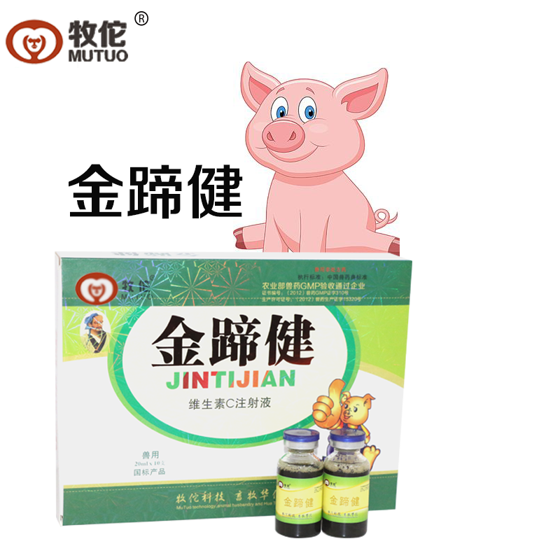 金蹄健圖片/金蹄健樣板圖 (2)
