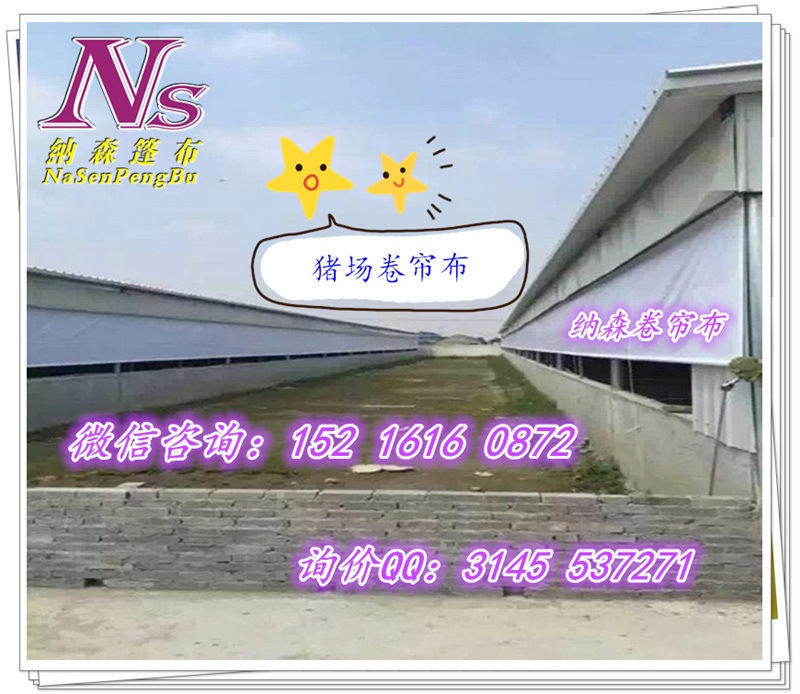 棚帆布圖片/棚帆布樣板圖 (3)