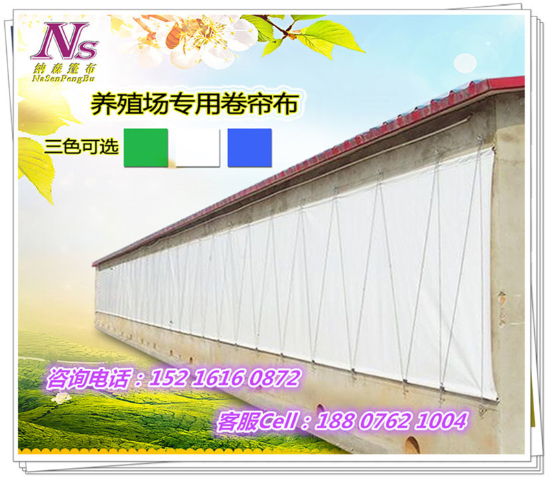 用卷簾圖片/用卷簾樣板圖 (1)